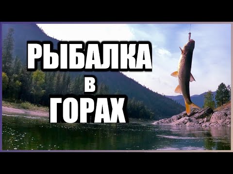 Видео: Рыбачим на горной реке в Montana USA. 4K