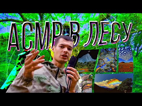 Видео: АСМР В ЛЕСУ 2 ☕️ мысли обо всём