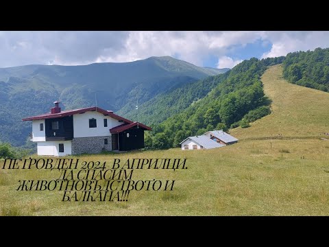 Видео: Петровден 2024 г  в Априлци, част 2. Да спасим животновъдството и Балкана!