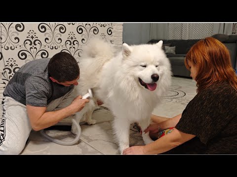 Видео: Хорошо отдохнули, теперь нужно хорошо поработать, чтобы дальше строить планы