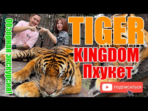 Видео: У ТИГРА В КЛЕТКЕ! TIGER KINGDOM PHUKET. Отдых в Тайланде! Обзорная ЭКСКУРСИЯ, Куда сходить?