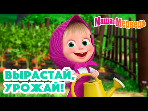 Видео: Маша и Медведь 🍓🍒 Вырастай, урожай! 🌼🌿🥕 Коллекция серий про Машу 2024 🎬 Час мультиков!