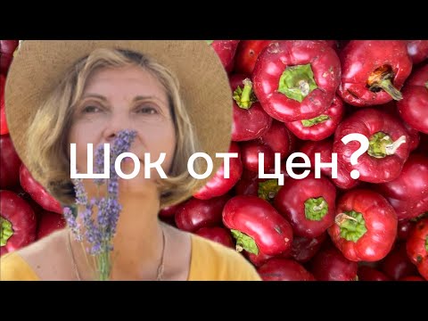 Видео: Болгария. Завали холодильник!!!