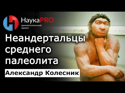 Видео: Неандертальцы среднего палеолита – Александр Колесник | Лекции по археологии | Научпоп