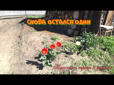 Видео: Переезд из города в деревню. Снова остался один