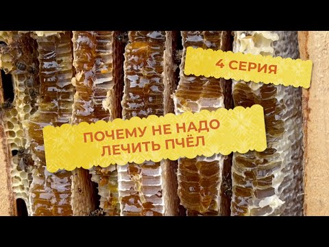 Видео: 4 серия. Почему не нужно лечить пчёл.
