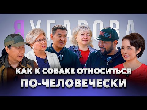 Видео: Человек собаке друг или как? Известные люди Якутии о домашних животных и об ответственности за них