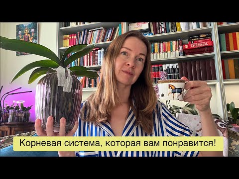 Видео: КОРНИ ОРХИДЕИ и смешная история о жизни в Германии!😉😜🌸🔥