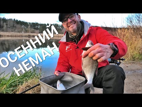 Видео: Ловля Фидером на Реке в Конце Ноября. Рыбалка в Беларуси. Часть 2.