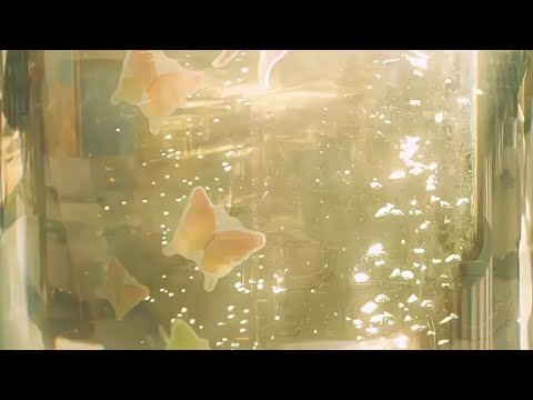 Видео: пошлая молли, HOFMANNITA - HABIBATI slowed + reverb