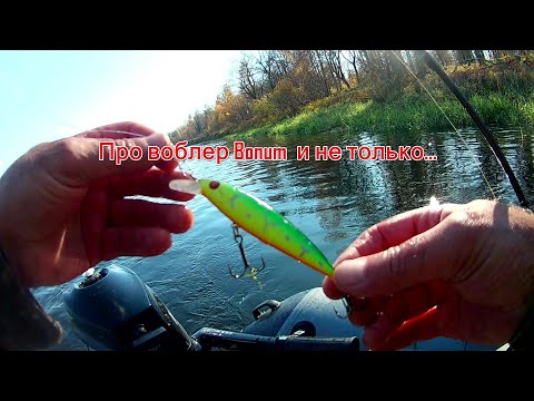 Видео: Жерех и парочка щучек... Не густо, твичим дальше!