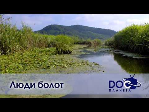 Видео: Люди болот - Документальный фильм