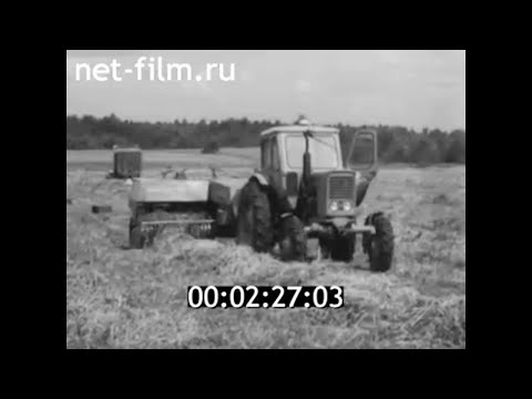 Видео: 1978г. совхоз Байсогала. Радвилишкский район Литва.