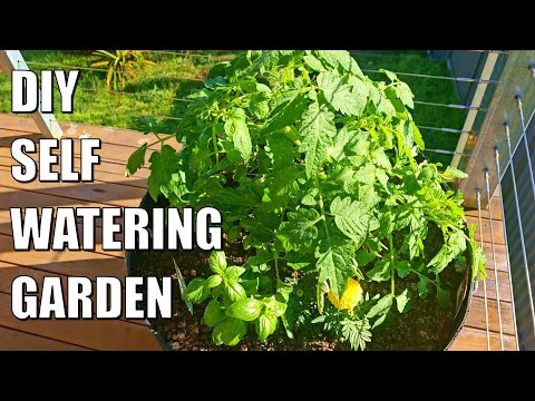 Видео: Как построить самополивающийся сад с влагой