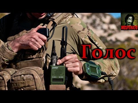 Видео: Истории на ночь - Таинственный голос
