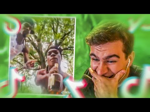 Видео: БРАТИШКИН СМОТРИТ - МЕМЫ ИЗ ТИК ТОКА