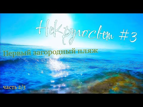Видео: НеКругосвет #3, часть 2/3: ЗаКадье. Пляж. Финский Залив.