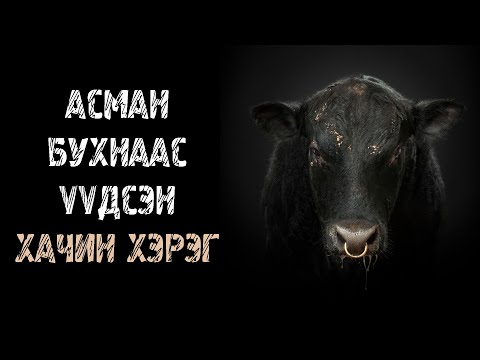 Видео: Мал адгуустай холбоотой 3 этгээд хачин гэмт хэрэг