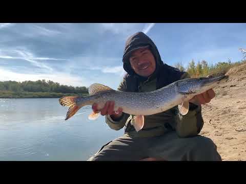 Видео: Рыбалка на Урале 2025 щука на живца #уральскзко #казахстан #рыбалка #щука 