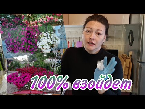 Видео: ПОРА СЕЯТЬ ПЕТУНИЮ | ПОСЕВ ПЕТУНИИ НА РАССАДУ