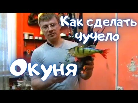 Видео: Как сделать чучело ОКУНЯ в домашних условиях #5