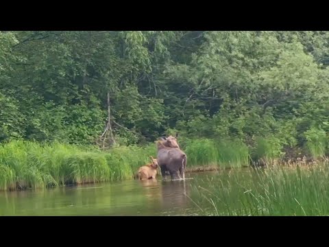 Видео: Незабываемая рыбалка в Якутии!