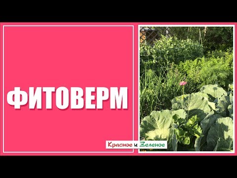 Видео: Фитоверм. Что нужно знать садоводу.