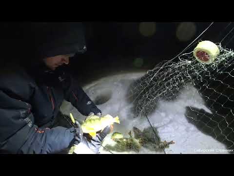 Видео: Видит ли рыба в темноте? Рыбалка на хапуги ночью.