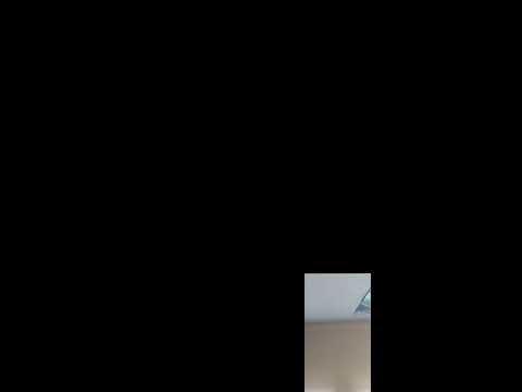 Видео: 29.10 Доброе утро ☕️☕️👋