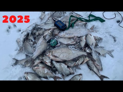 Видео: 2025 На мотыля столько не словишь!!!! СИНЕЦ,ГУСТЕРА,ЛЕЩ! Гирлянда,Припять,Беларусь. Рыбалка