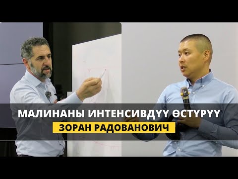 Видео: Кыргызстанда малинаны кантип өстүрүү керек? Ассоциациянын пландары кандай?