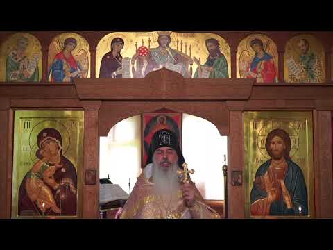 Видео: Нужно ли терпеть ближнего, если не хочется. Схиигумен Гавриил.