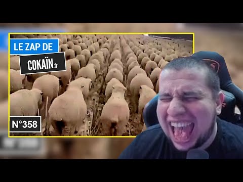 Видео: МАНУРИН СМОТРИТ Le Zap de Cokaïn.fr n°358 приколы / смешное видео