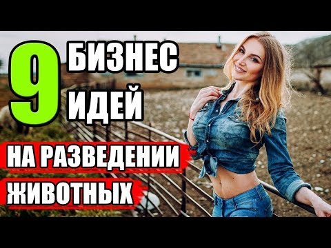 Видео: ТОП-9 Бизнес идей на разведении животных. Разведение как бизнес. Бизнес план разведение