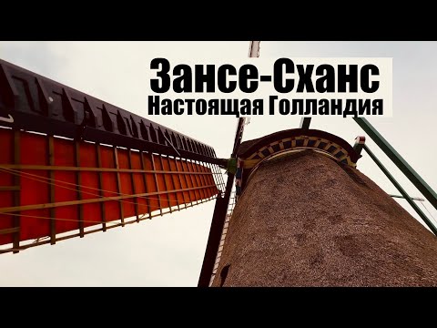 Видео: БЕСПЛАТНЫЙ СЫР существует!!! В Зансе-Сханс! Невероятная Голландия - путешествие продолжается