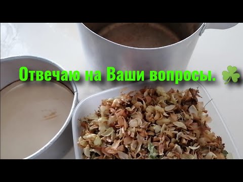 Видео: Хмелевая закваска, простой вариант.