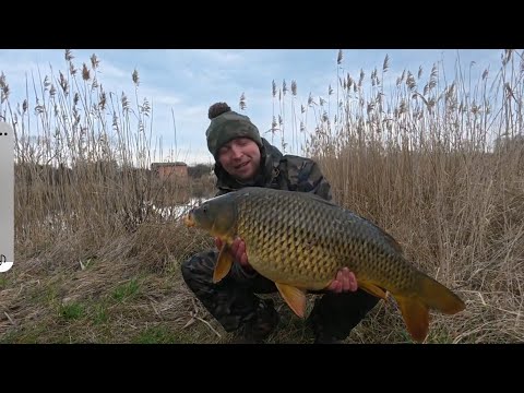 Видео: Думали что снова рыбалка провалена, но потом клюнул он...