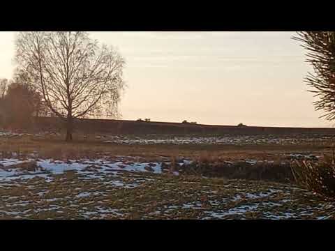 Видео: 21 октября 2025 г.