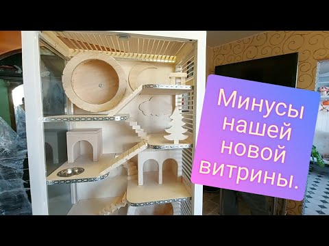 Видео: Новая витрина для шиншилл с колесом. Дом для шиншиллы. Обзор витрины.