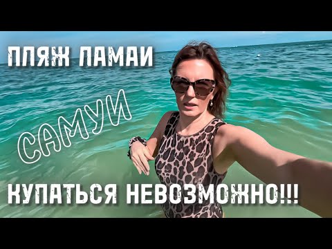 Видео: Моему возмущению нет предела! Обзор отеля Coral Cliff Samui. Пляжи Ламаи и Бопхут. Самуи 2025.