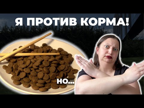 Видео: Я ПРОТИВ СУХОГО КОРМА. НО... 7 ситуаций, когда НОРМАЛЬНО кормить кормом!