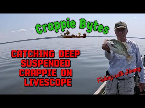 Видео: Ловля глубоководного краппи на LiveScope! #крэппифиинг #LiveScope #fallcrappiefishing