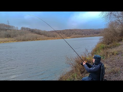 Видео: Рыбалка на ОКЕ / Фидер в НОЯБРЕ / ЛЕЩИ ЕЩЁ КЛЮЮТ / ЗДОРОВЫЙ ЛЕЩ ОСЕНЬЮ