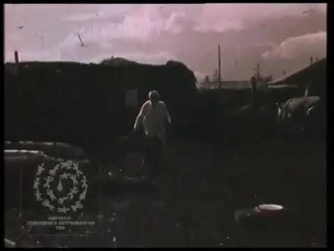 Видео: 🙏🙏🙏🤗НЬЫЫКАН саамай куустээх ЭМЧИТ уонна ОЙУУН 🙏🙏🙏Барга Махтаал🙏🙏🙏🥰