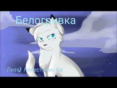 Видео: Коты Воители: Белогривка и Остролап- Ошибка