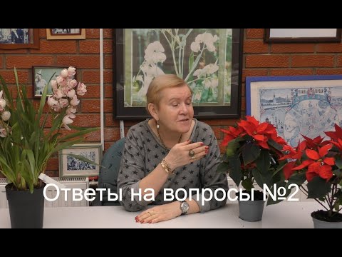 Видео: Отвечаем на вопросы наших зрителей №2