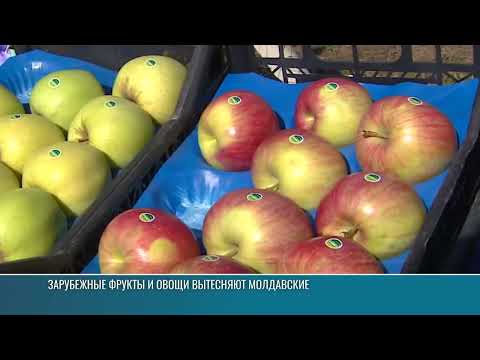 Видео: Почему в полях Молдовы гниёт урожай?