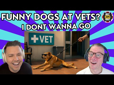 Видео: БРИТАНЦЫ РЕАКЦИЯ на то, когда ваша собака — профессионал на визитах к ветеринару. Самая смешная р...