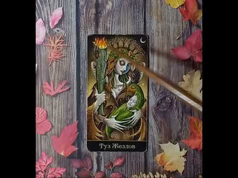 Видео: Для начинающих.Таро безумной луны.Туз Жезлов