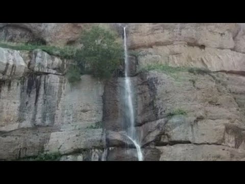 Видео: САГИРДАШТ. САЙДОН!!!   23 июля 2020 г.